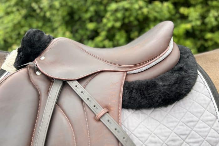 Black saddle pad for horses